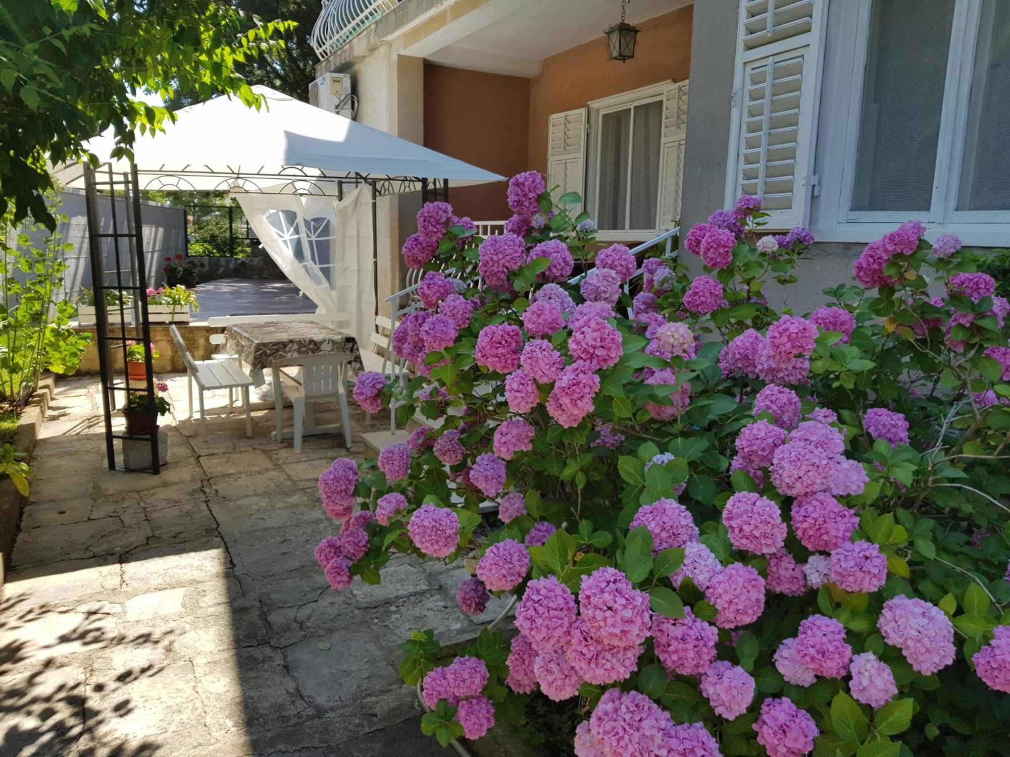 Renata Mare Apartments Rovinj Exterior foto